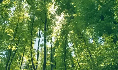 EcoFriendly High-Tech Materials