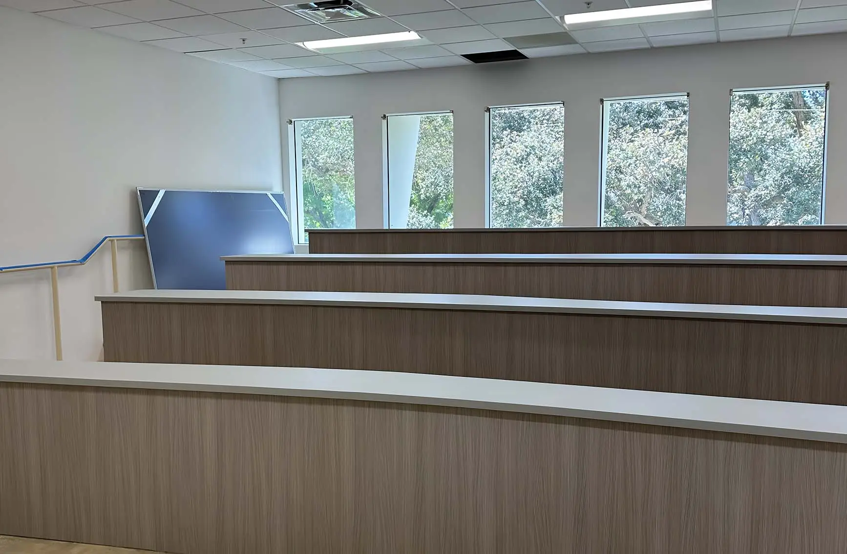 Financial-Institutional Renovations