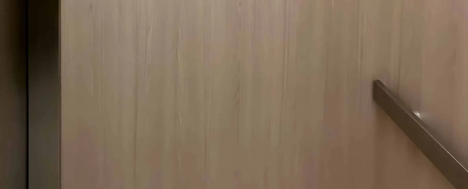 elevator cabin handrail