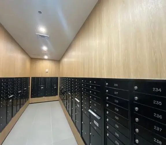Architectural vinyl Wall Wraps