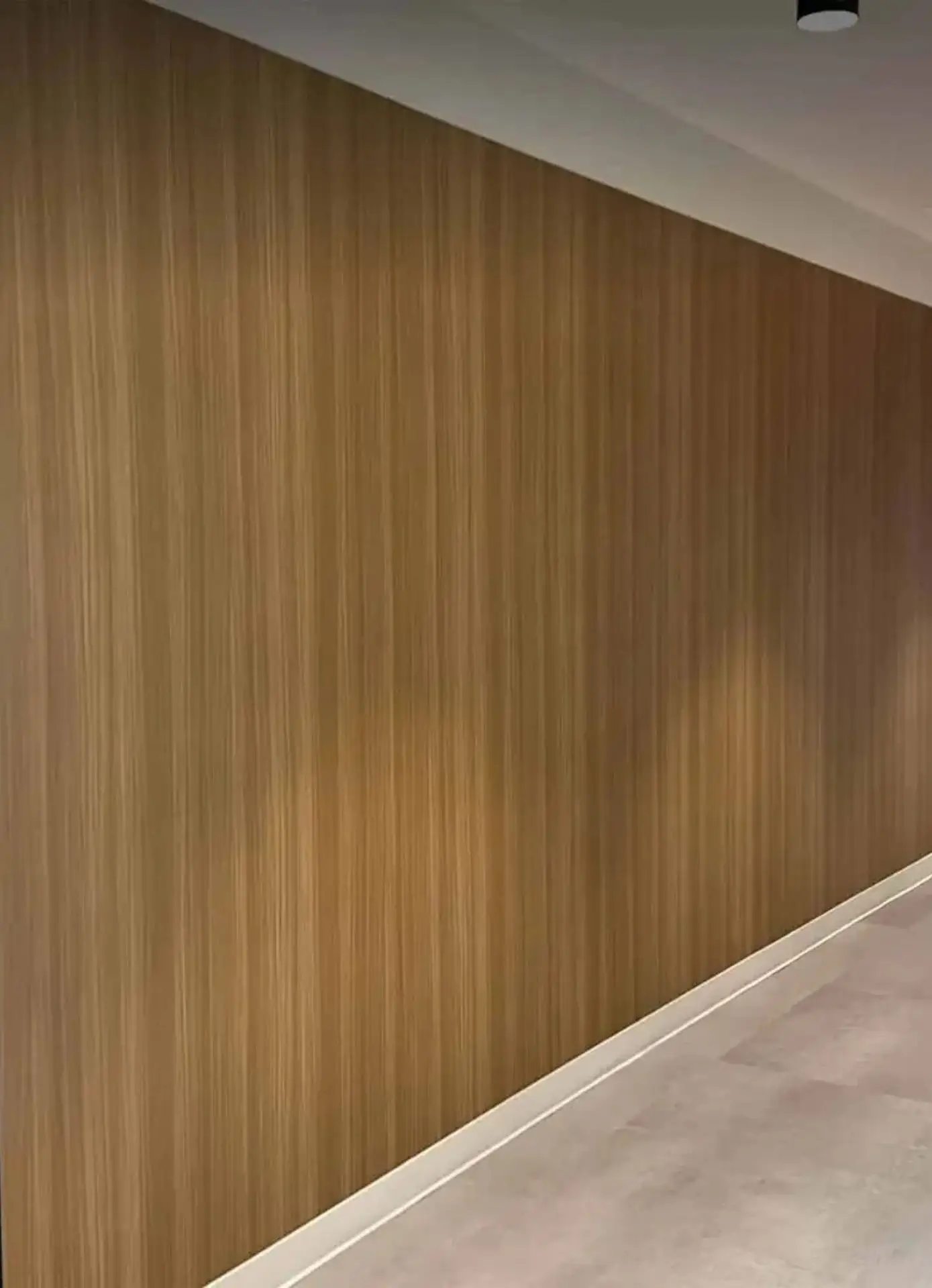 Wall Wraps Portfolio